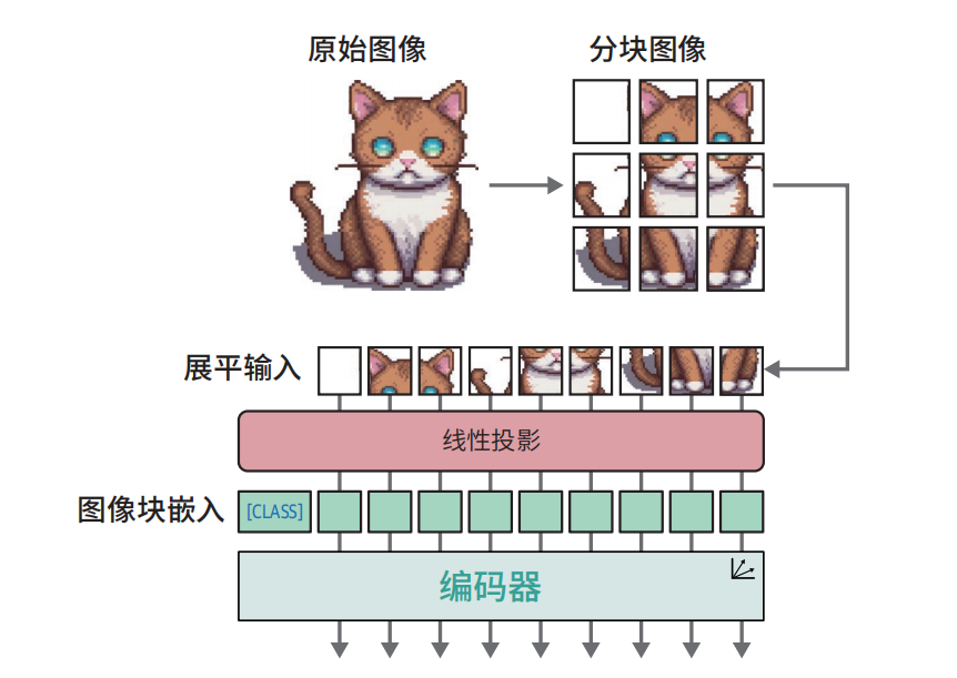 image-20260211113509751